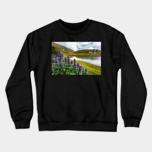Mountain flowers by a glacial lake Crewneck Sweatshirt by naturalis